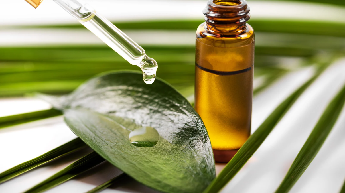 Nature’s Rhythm: Embracing Transitional Wellness and Balance This Summer