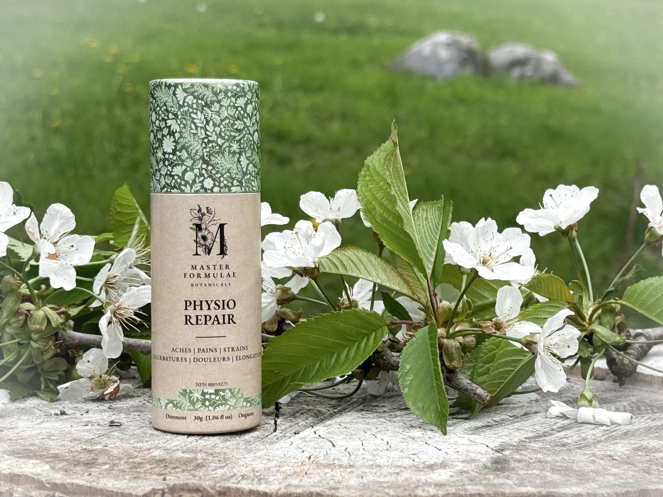 How Physio Repair Supports Muscle Recovery